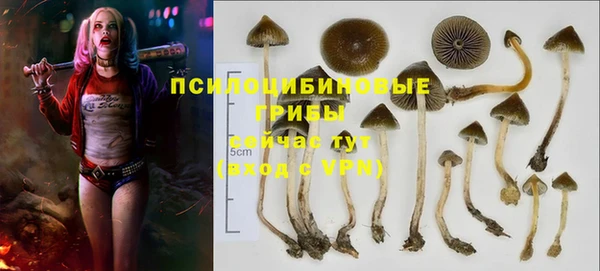 герыч Беломорск