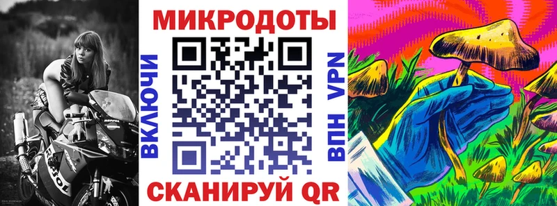 darknet какой сайт  Михайлов  Галлюциногенные грибы Psilocybe 